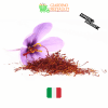 zafferano italiano calabria puro in stimmi made in italy
