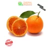 arance rosse tarocco moro calabria buccia edibile giardino digitale