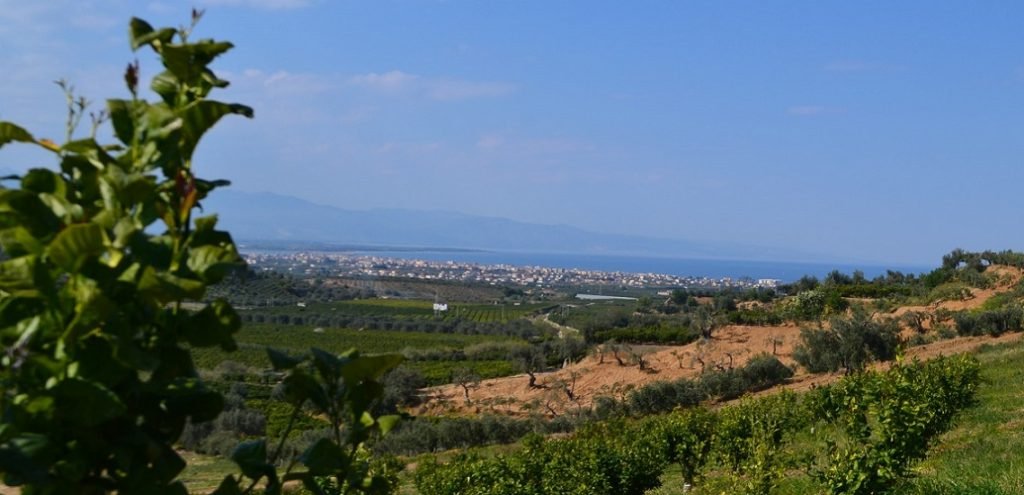 Un sogno diventato realtà