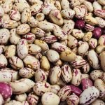 Fagioli borlotti Sangaetano
