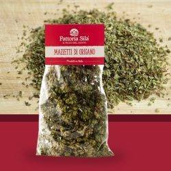 Origano Calabrese selvatico a mazzetti