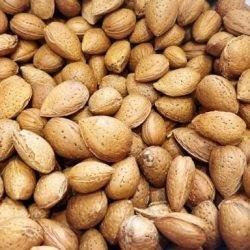 Mandorle del Pollino in guscio