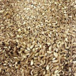 farro perlato