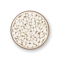 Fagioli bianchi tondini