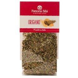 Origano Calabrese selvatico