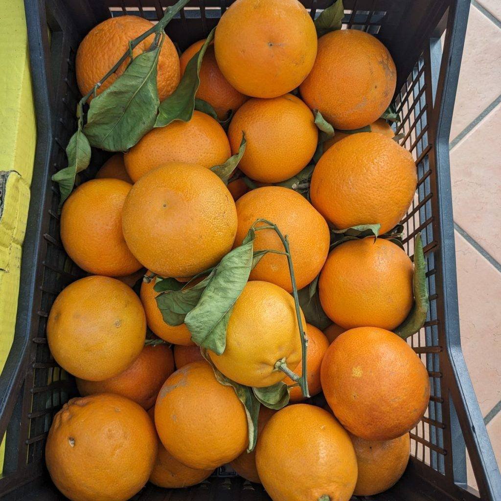 Immagine #1 da Ingeborg Uhl-Schiller