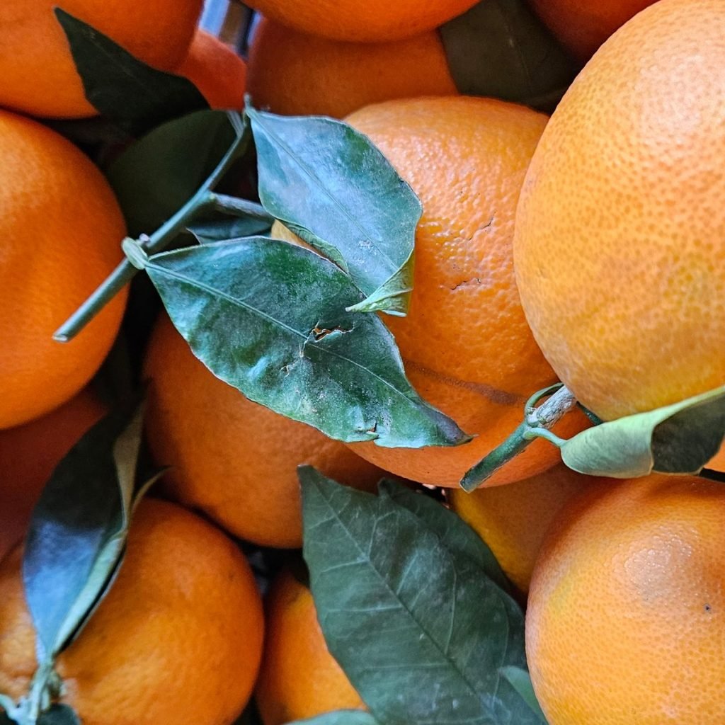 Immagine #2 da Cliff