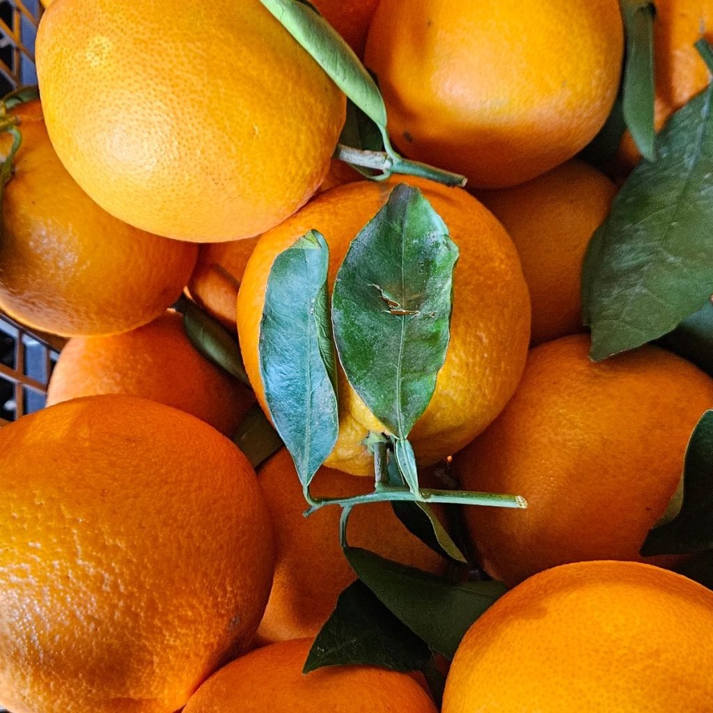 Immagine #1 da Cliff