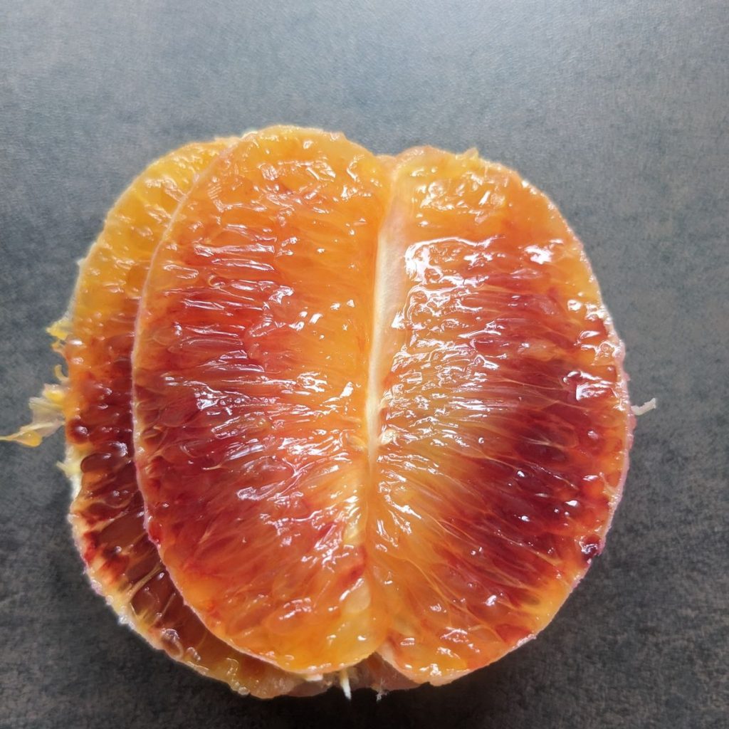 Immagine #1 da Ingeborg U.