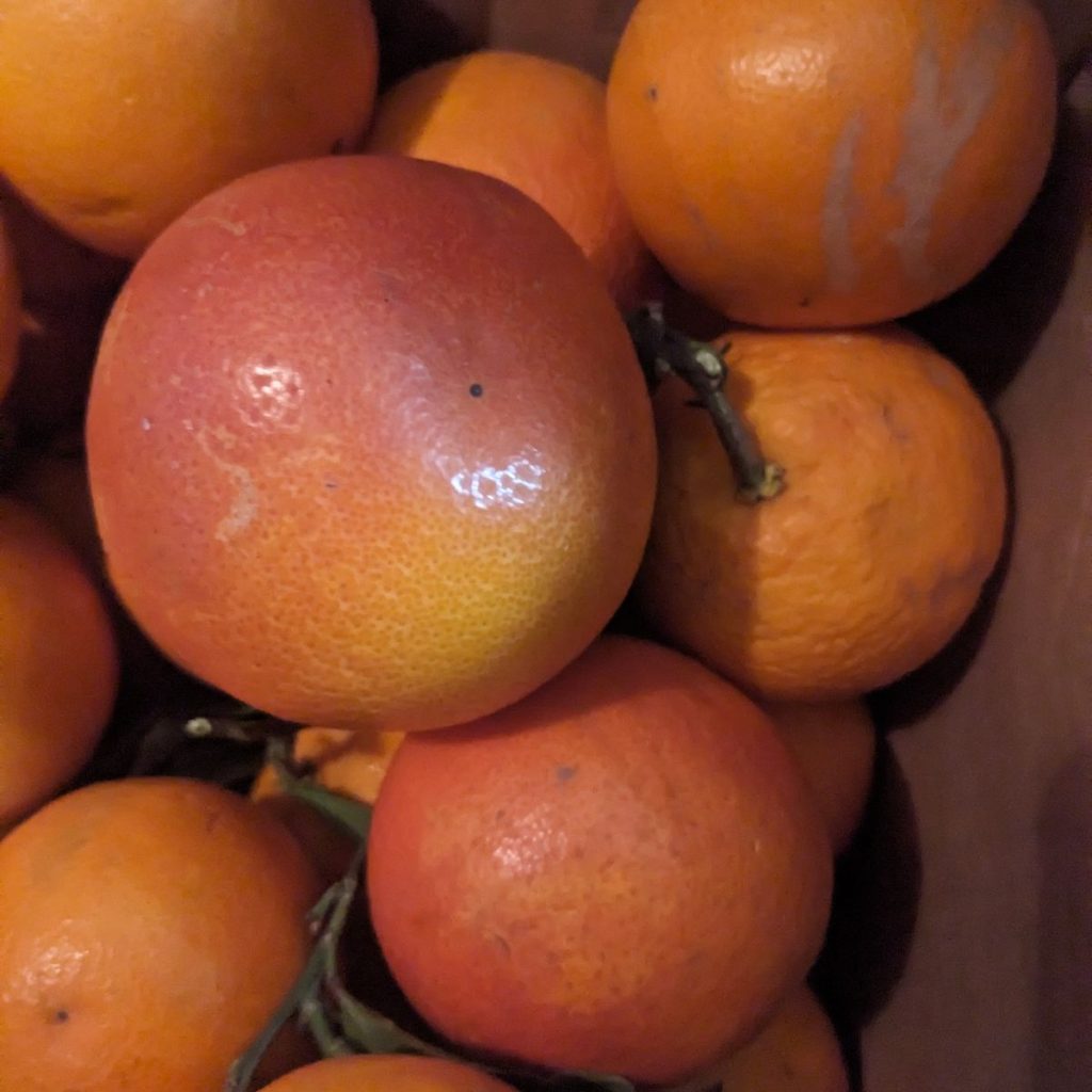 Immagine #2 da Ingeborg U.