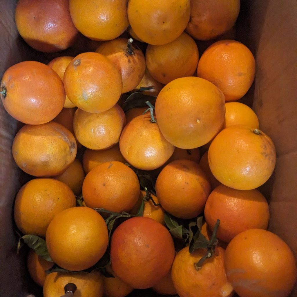 Immagine #3 da Ingeborg U.