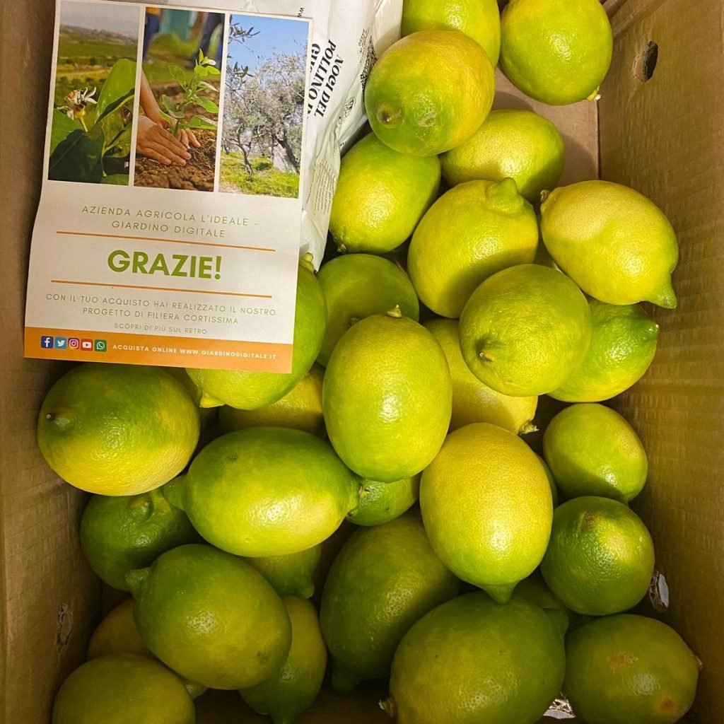 Immagine #1 da Paola