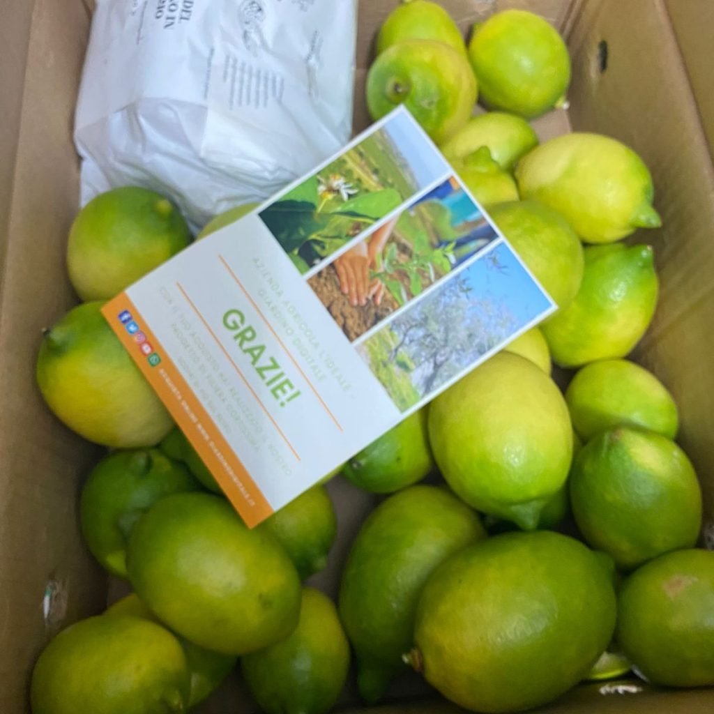 Immagine #1 da Paola