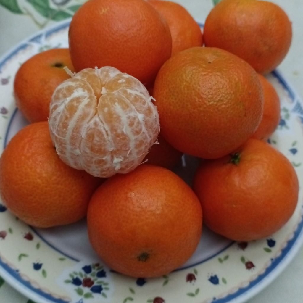 Immagine #1 da maurizio megna