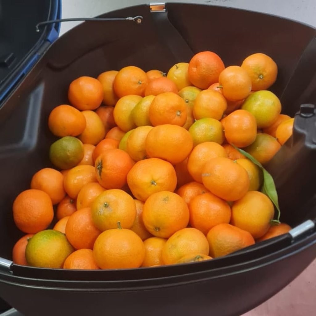 Immagine #2 da maurizio megna