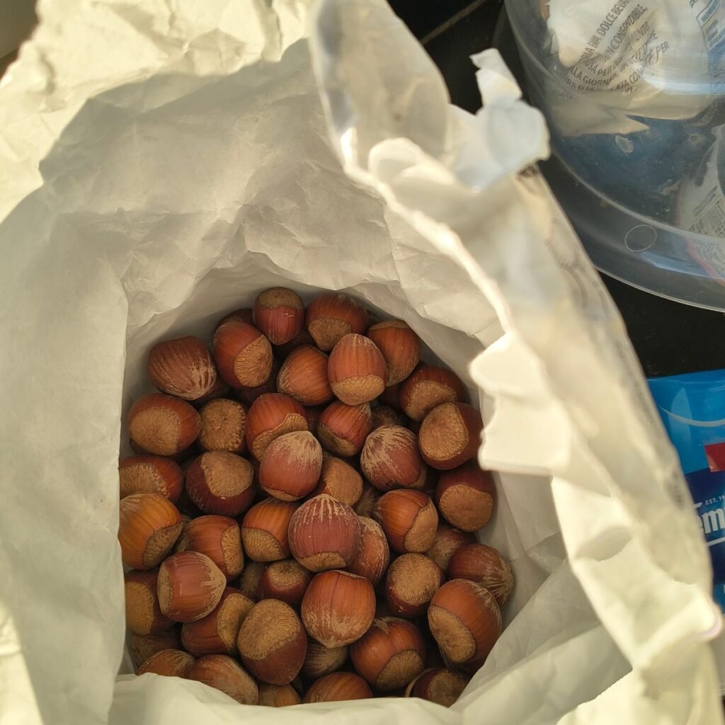 Immagine #1 da Giuseppe Peloni