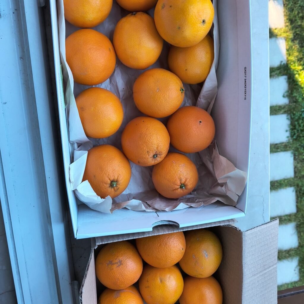 Immagine #1 da Giuseppe Peloni