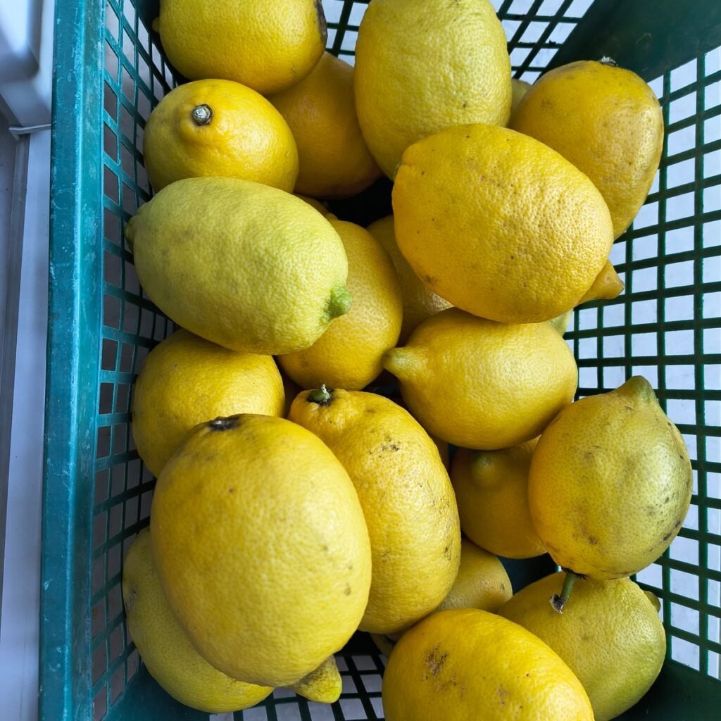 Immagine #1 da Giuseppe Peloni