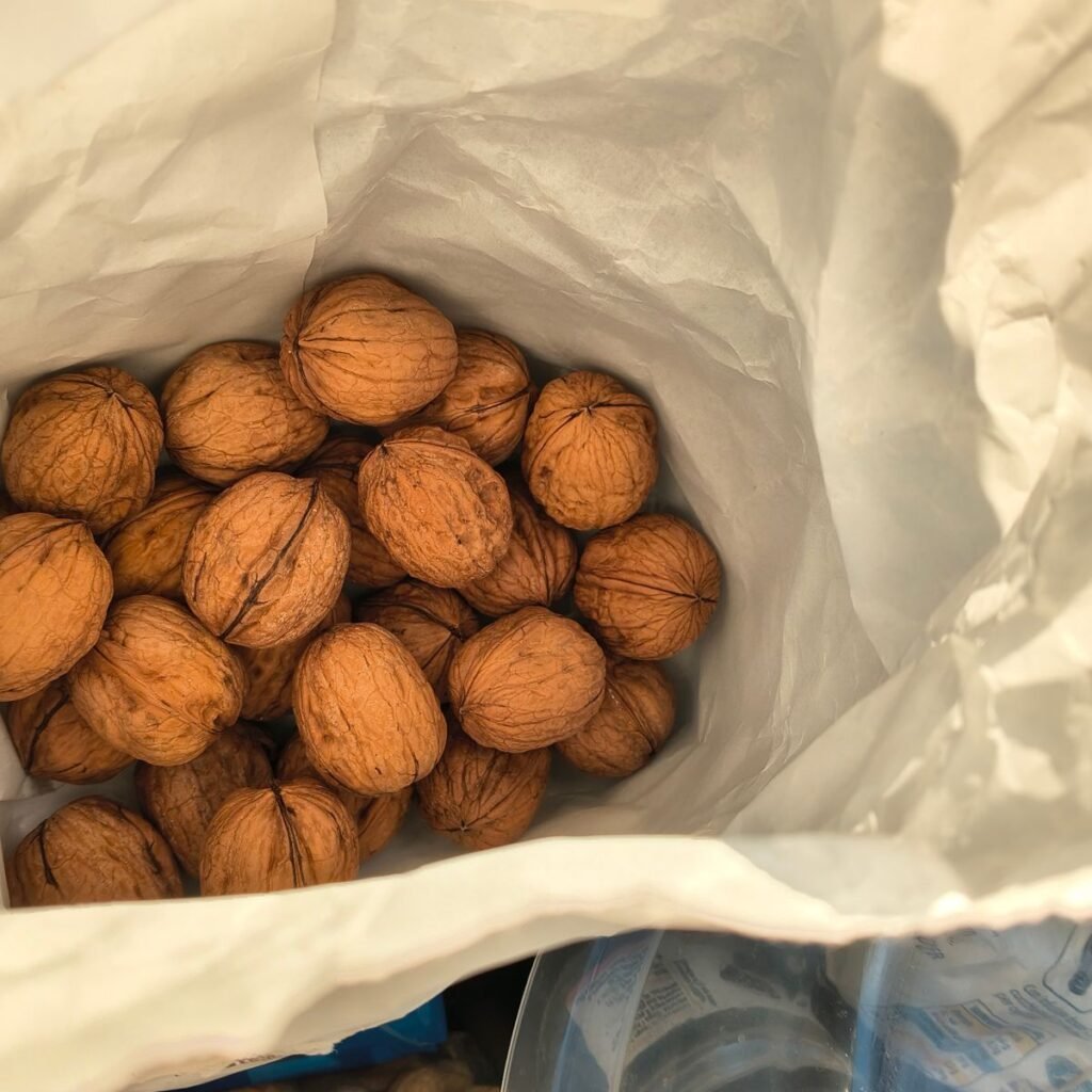 Immagine #1 da Giuseppe Peloni