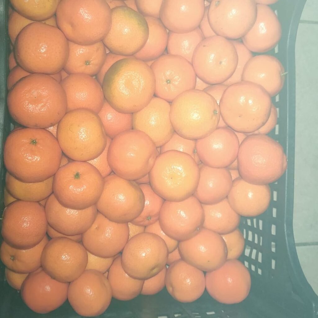 Immagine #1 da Pasquale M.