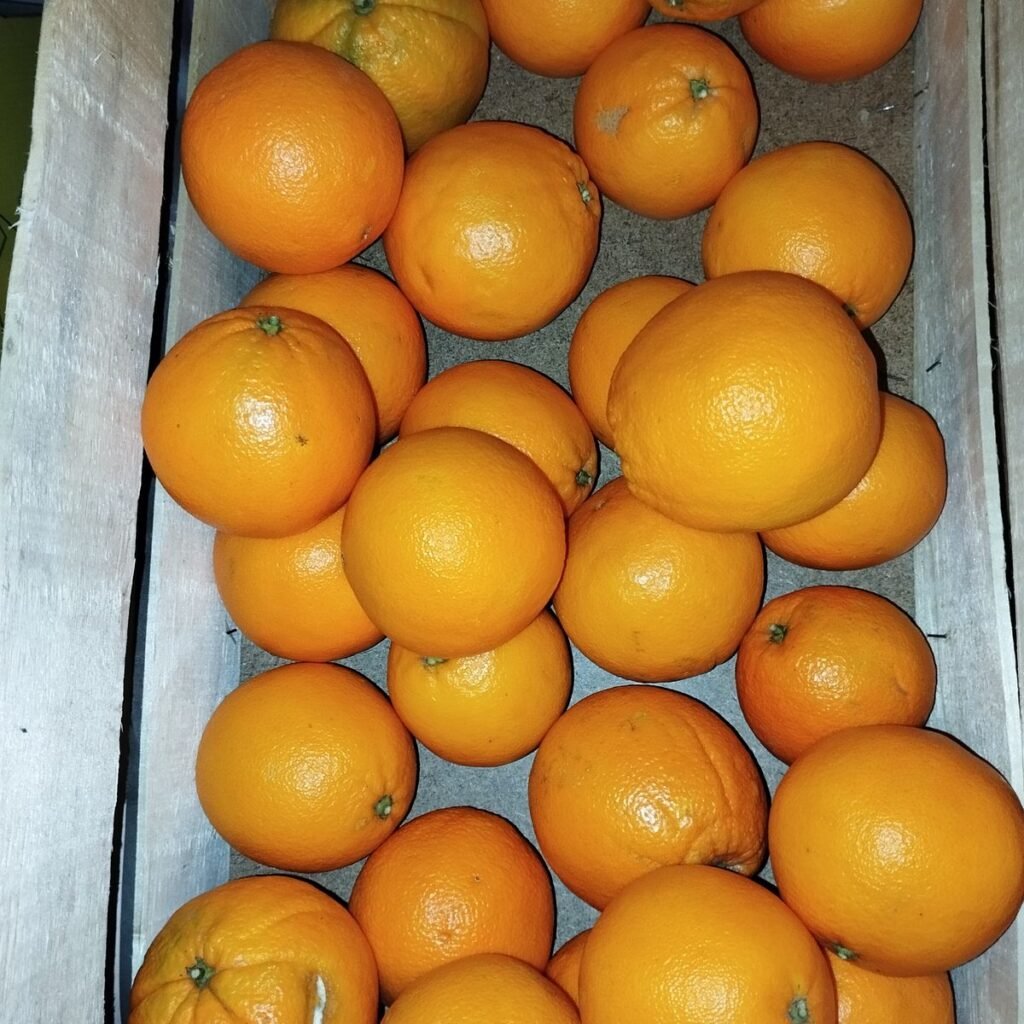 Immagine #1 da Giuseppe Buccico