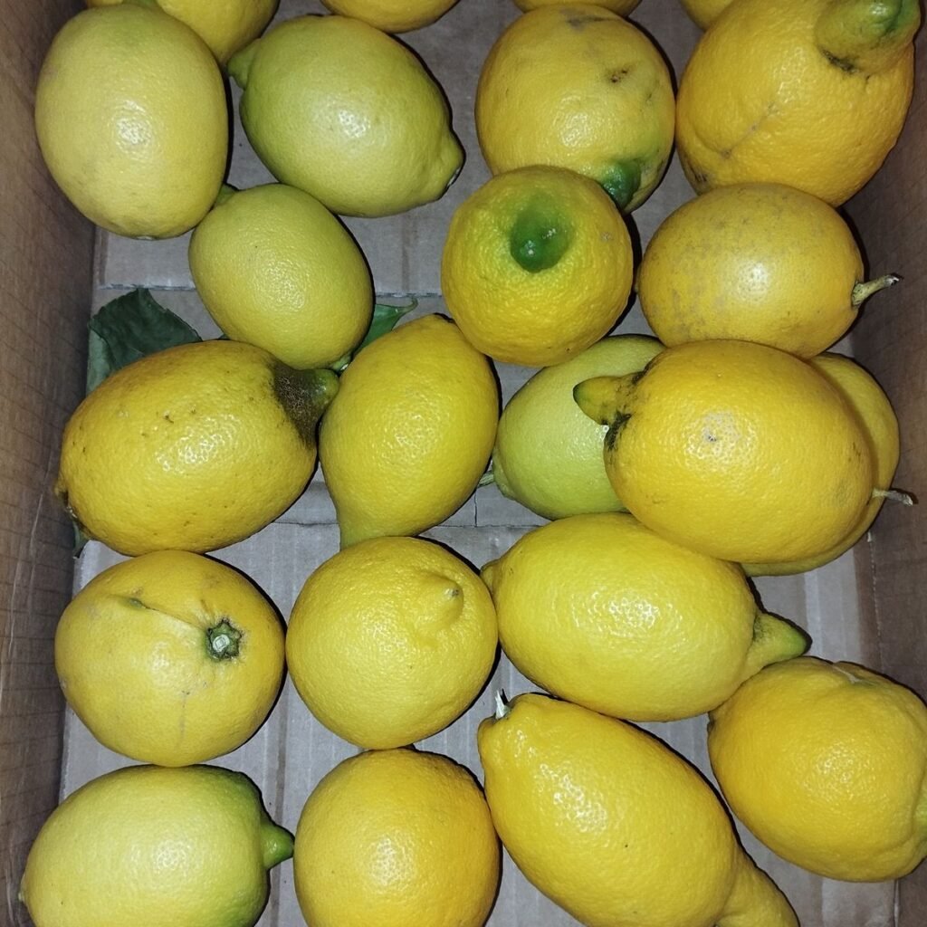 Immagine #1 da Giuseppe Buccico