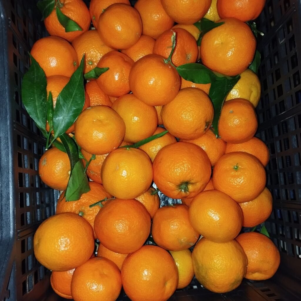 Immagine #1 da Giuseppe Buccico