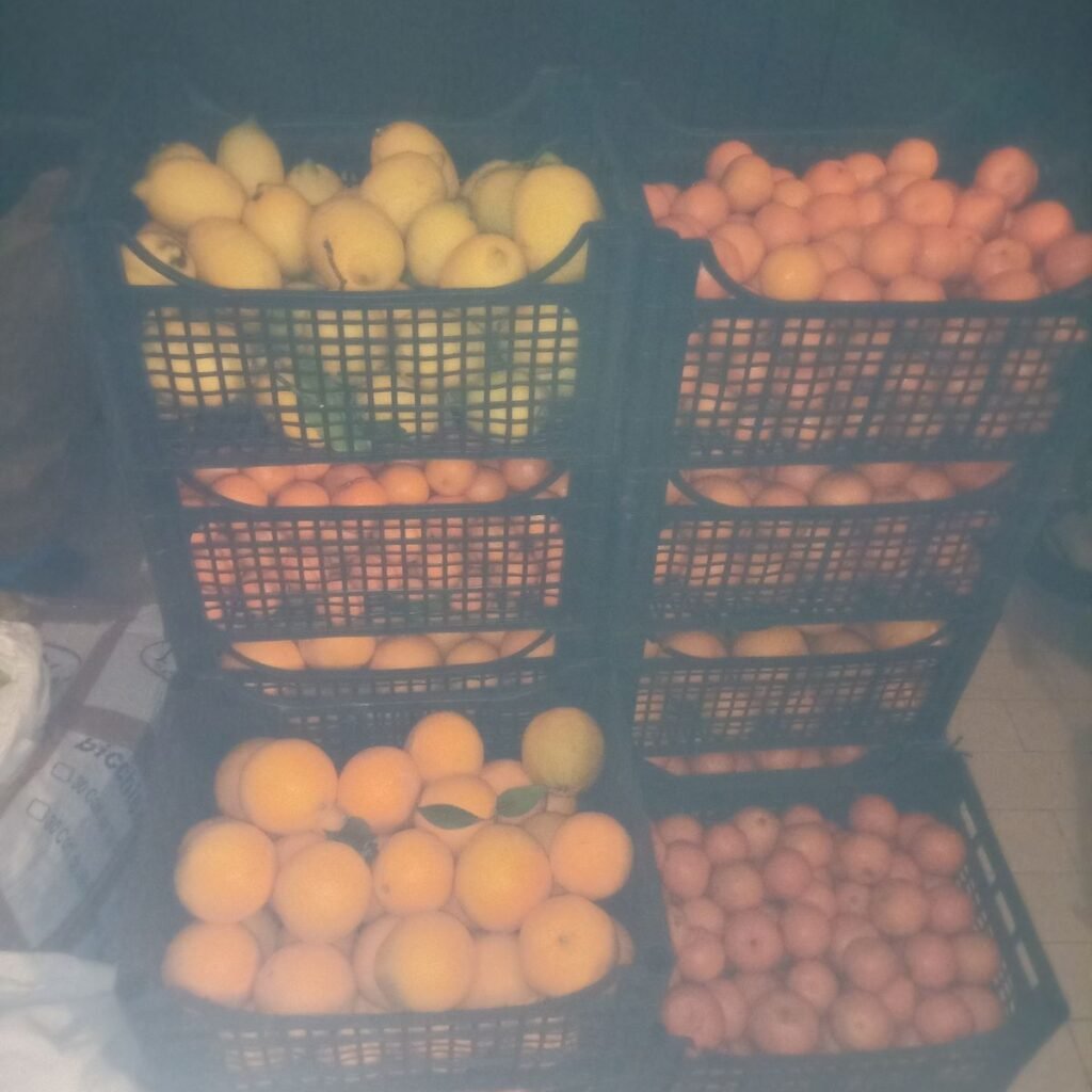 Immagine #1 da Pasquale M.