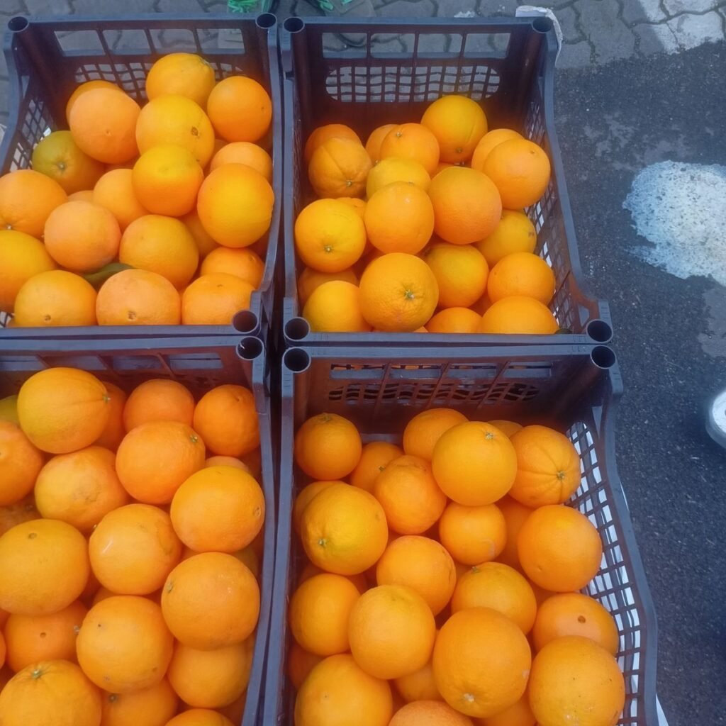 Immagine #1 da Pasquale M.