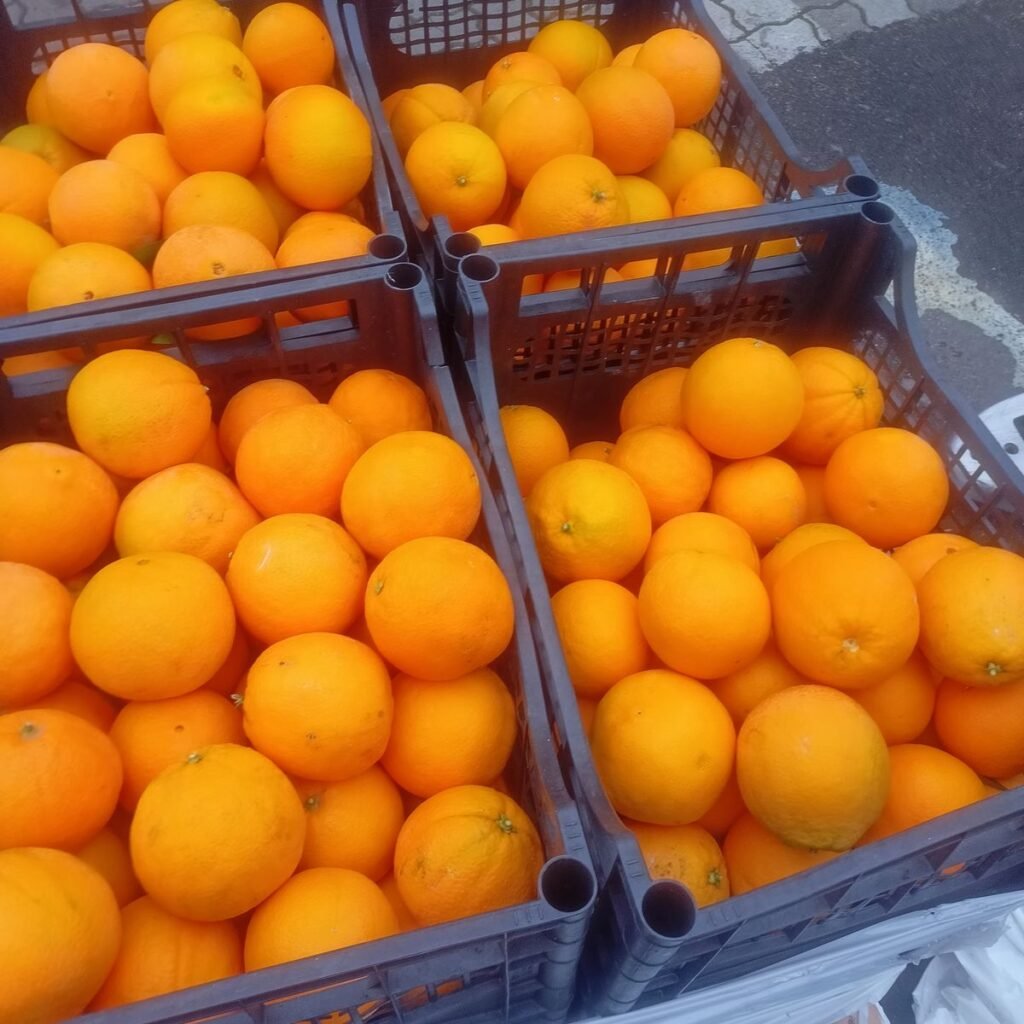 Immagine #1 da Pasquale M.