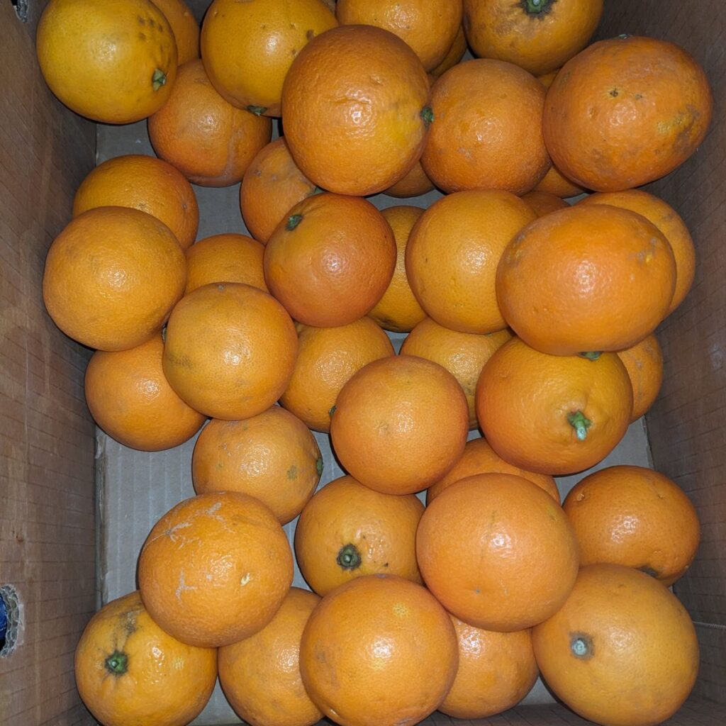 Immagine #2 da Ingeborg Uhl-Schiller