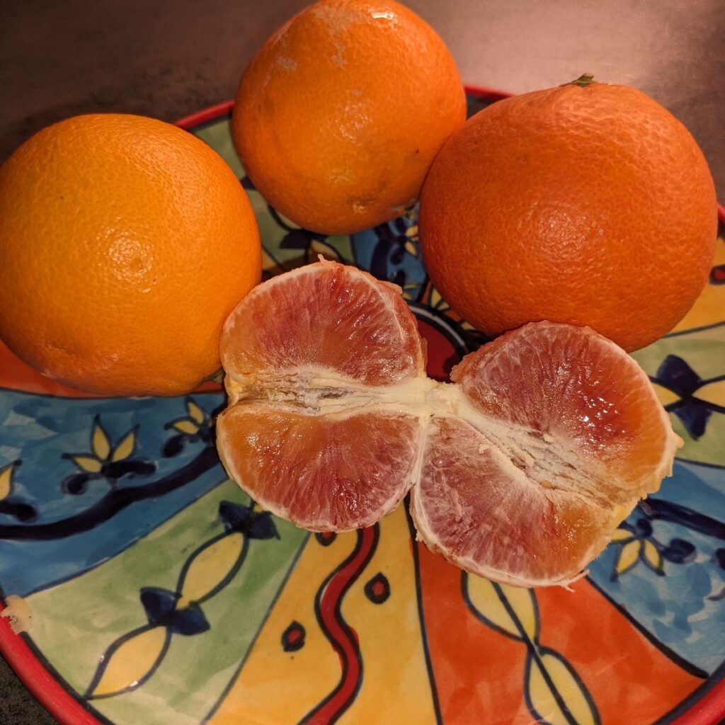 Immagine #1 da Ingeborg Uhl-Schiller