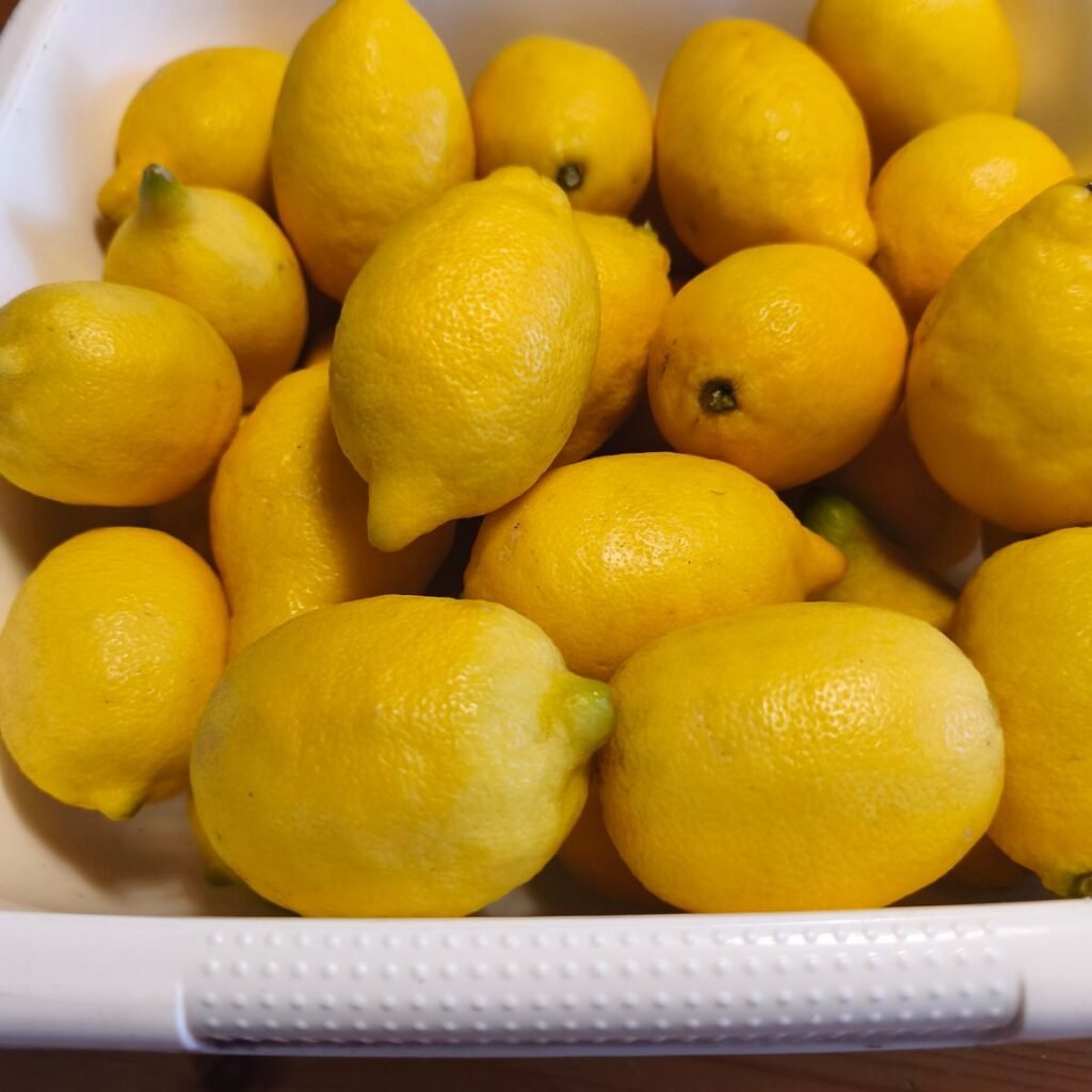 Immagine #1 da Martina Schmidt