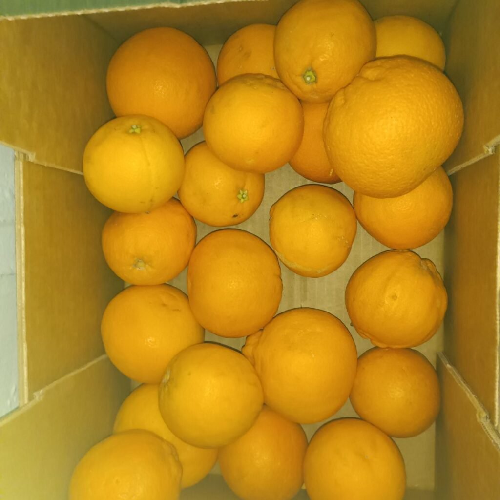 Immagine #1 da maurizio megna